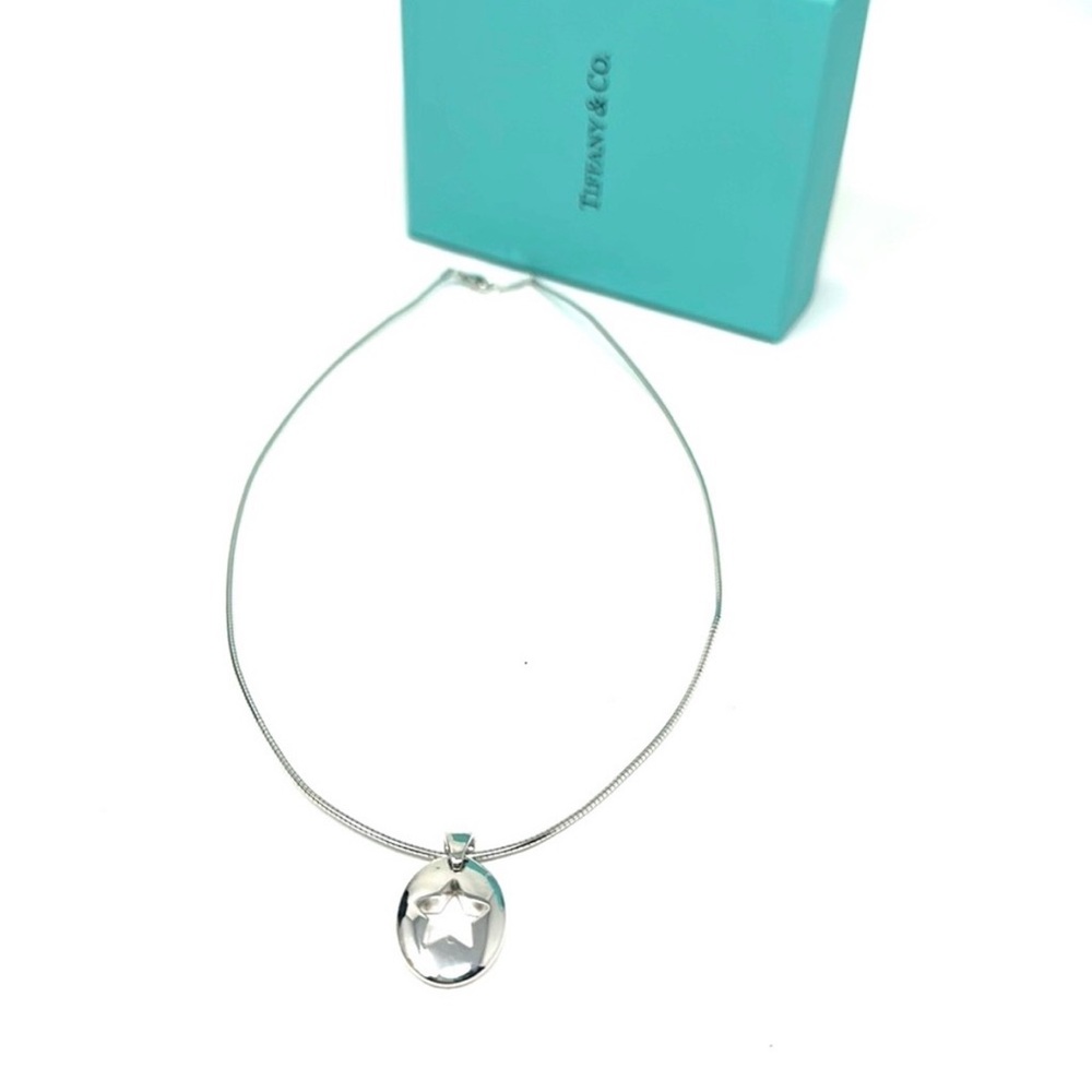 Authentic Tiffany & Co. Piercing Star Pendant and Necklace in Sterling Silver